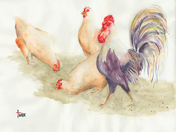 Chicken Rooster Watercolor Painting